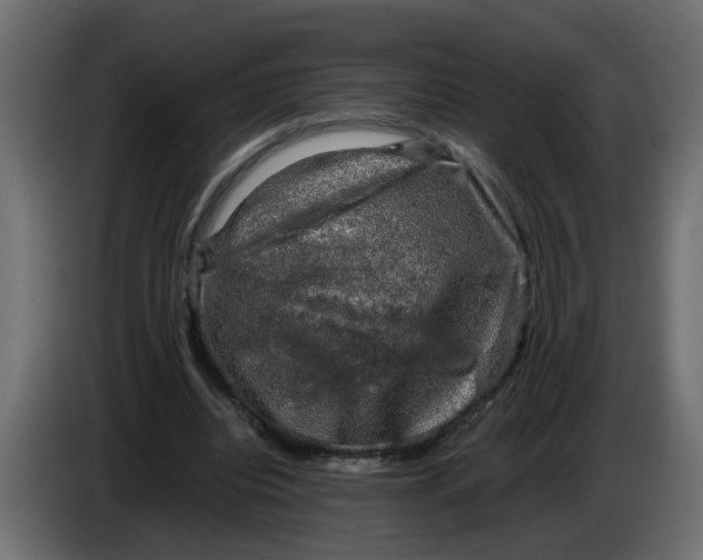 X0000083560440200703021723