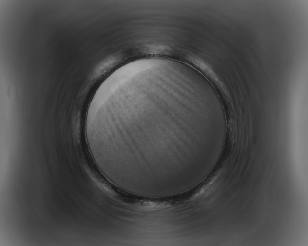 X0000083560442200703021723