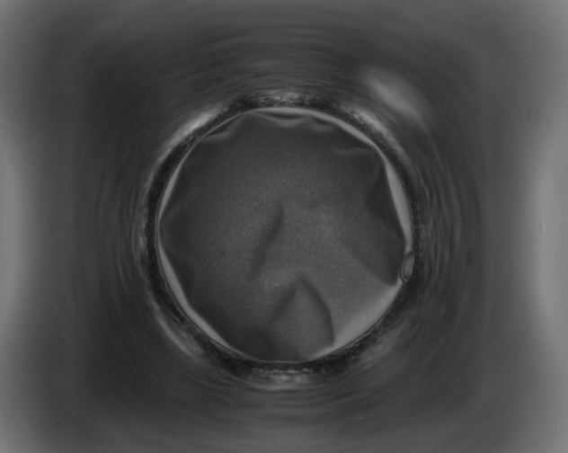 X0000083560443200703021723