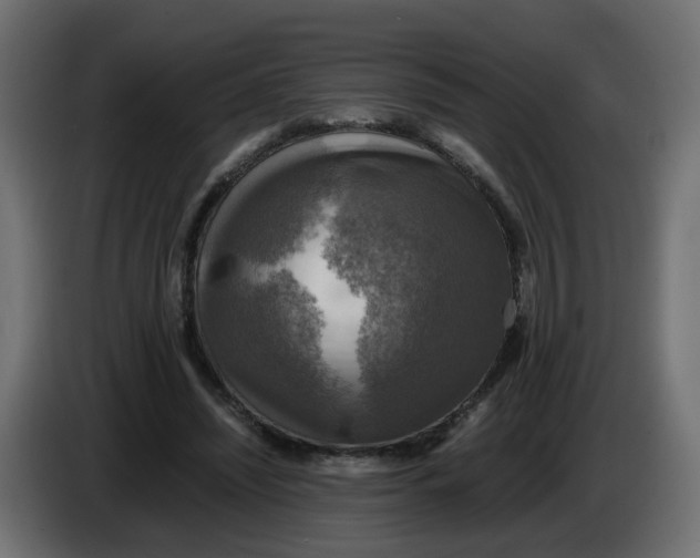 X0000083560444200703021723