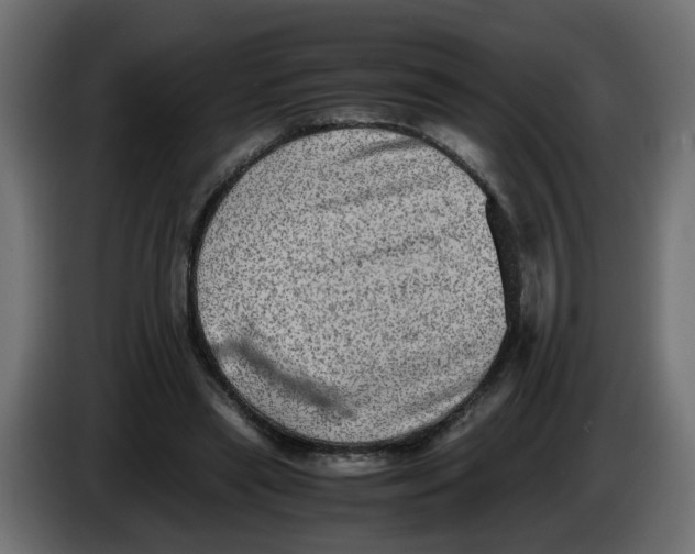 X0000083560445200703021723