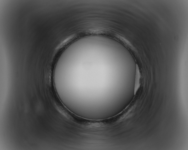 X0000083560446200703021723