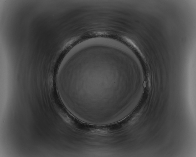 X0000083560447200703021723