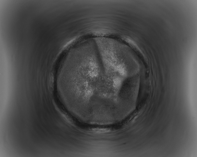 X0000083560448200703021723