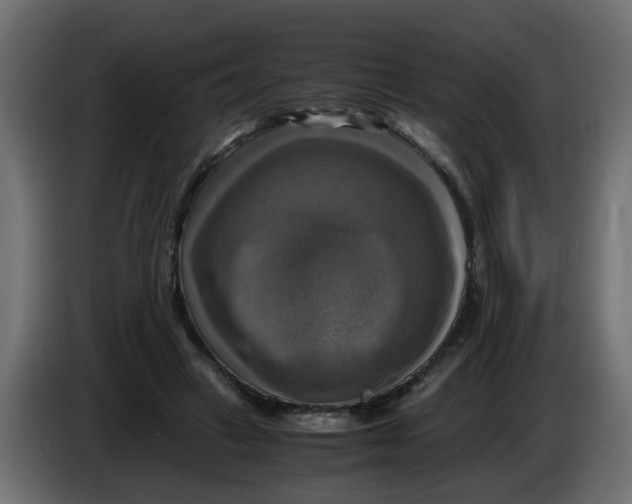 X0000083560449200703021723