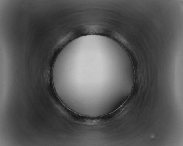 X0000083560450200703021723