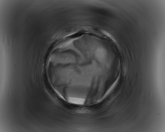 X0000083560451200703021723