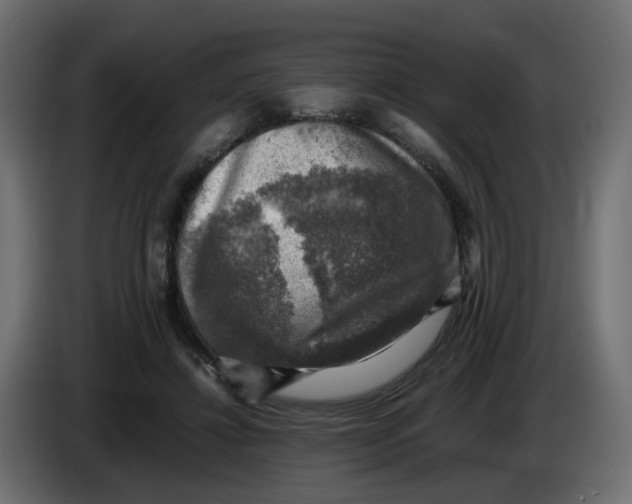 X0000083560452200703021723