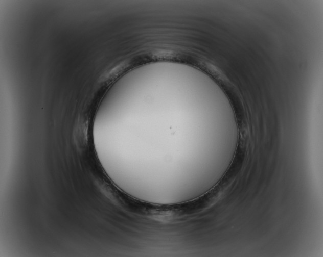 X0000083560454200703021723