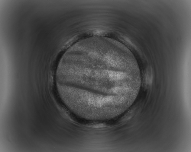 X0000083560456200703021723