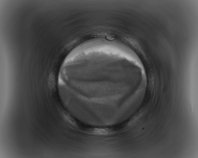 X0000083560457200703021723