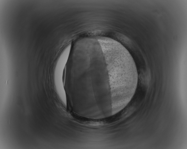 X0000083560458200703021723