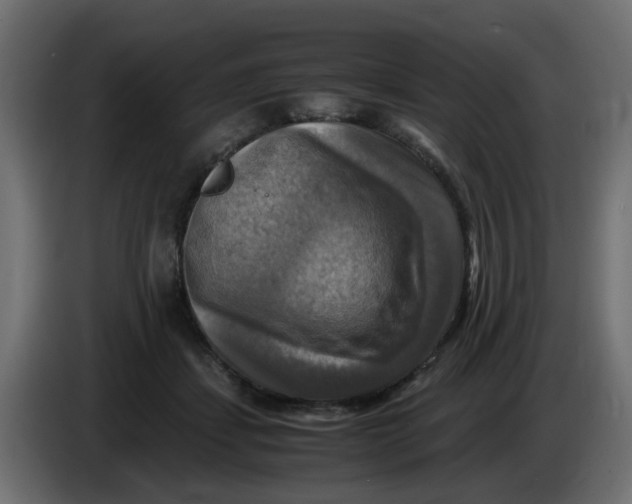 X0000083560459200703021723