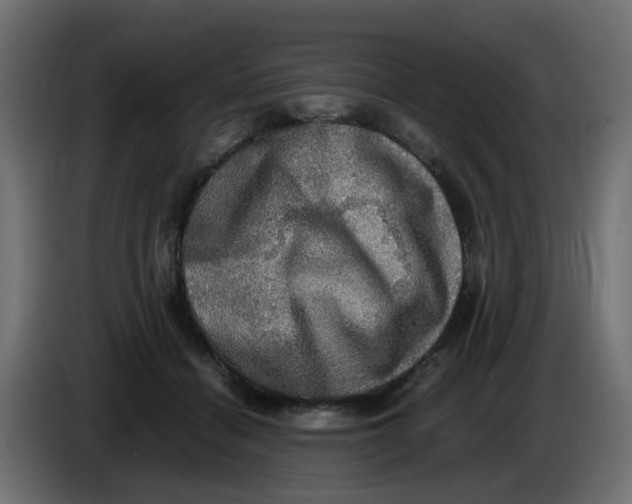 X0000083560460200703021723