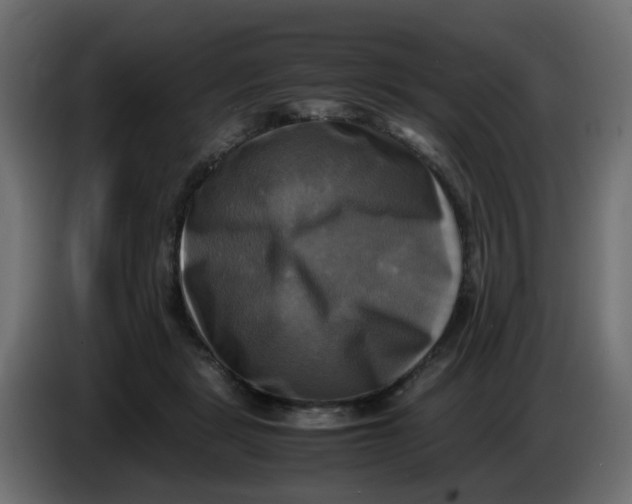 X0000083560461200703021723