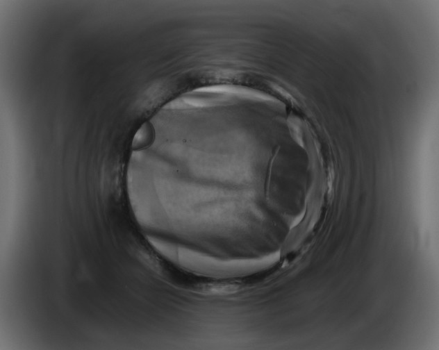 X0000083560462200703021723