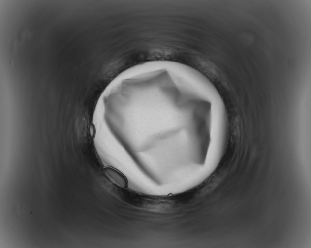 X0000083560463200703021723