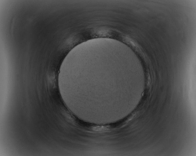 X0000083560465200703021723