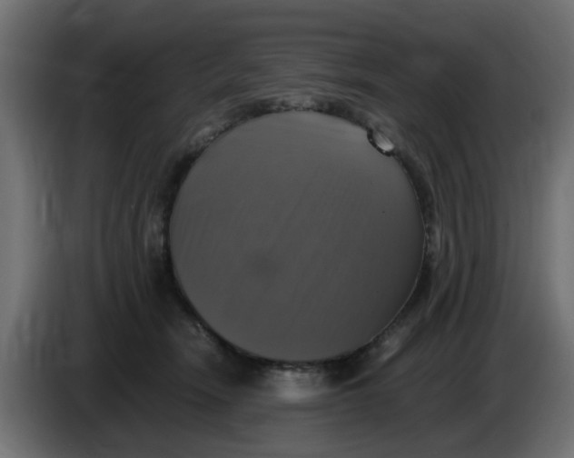 X0000083560466200703021723