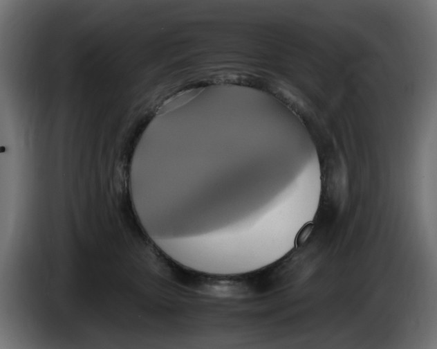 X0000083560467200703021723