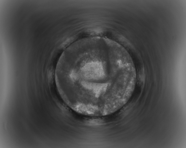 X0000083560468200703021724