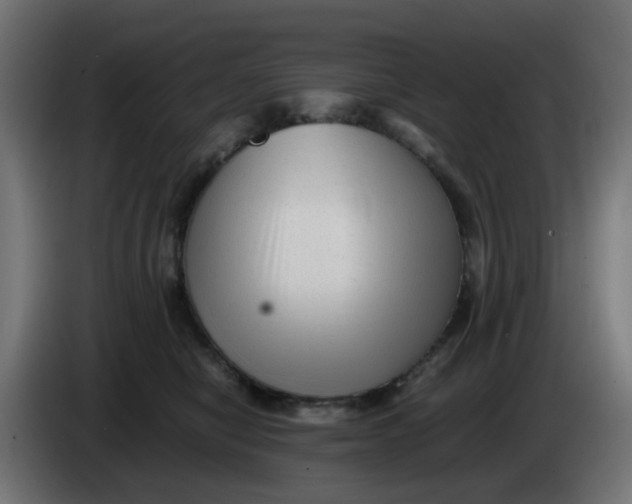 X0000083560470200703021724