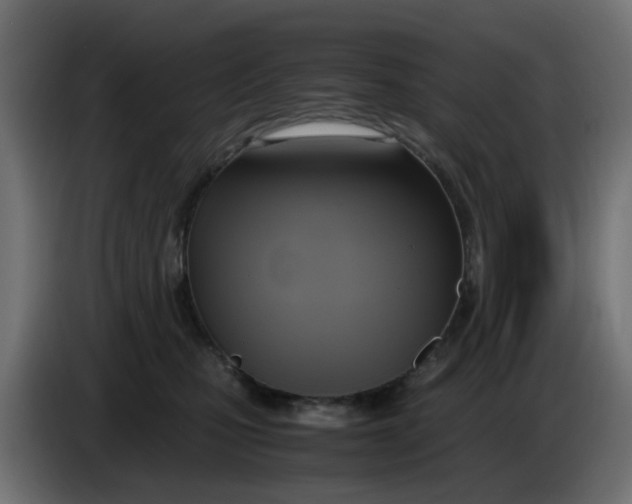 X0000083560471200703021724