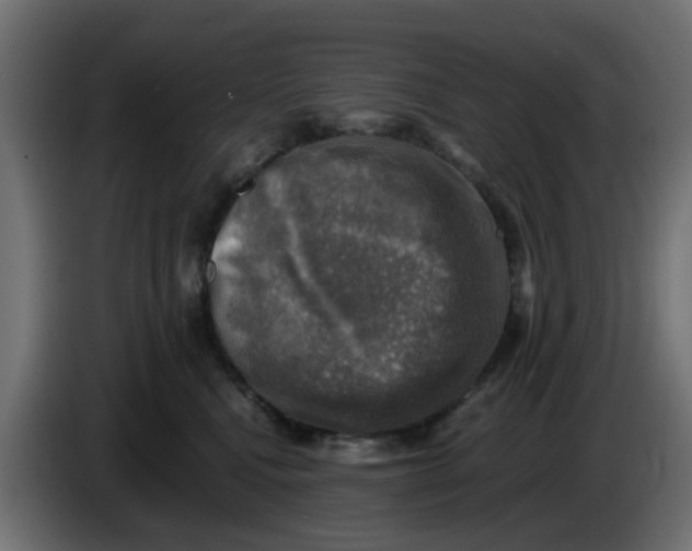 X0000083560472200703021724