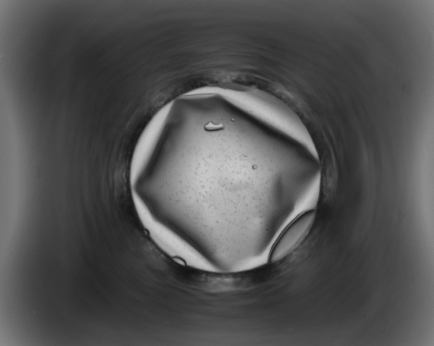 X0000083560473200703021724