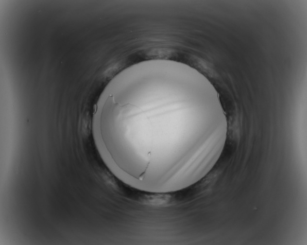 X0000083560474200703021724