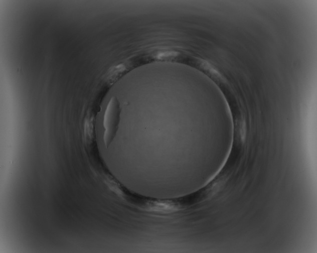 X0000083560475200703021724