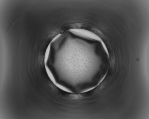 X0000083560477200703021724