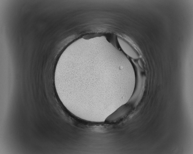 X0000083560481200703021723