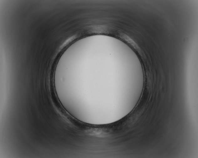 X0000083560482200703021723