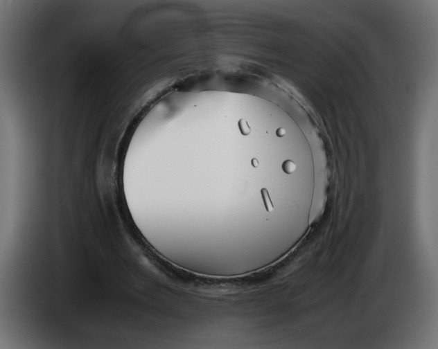 X0000083560485200703021723