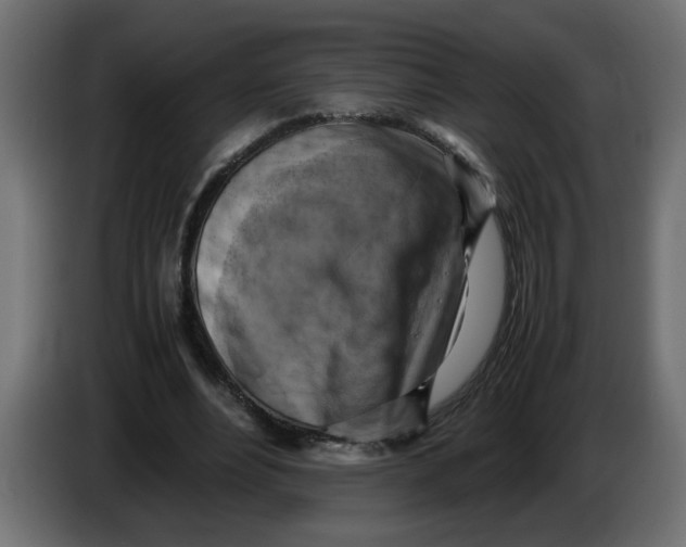 X0000083560488200703021723