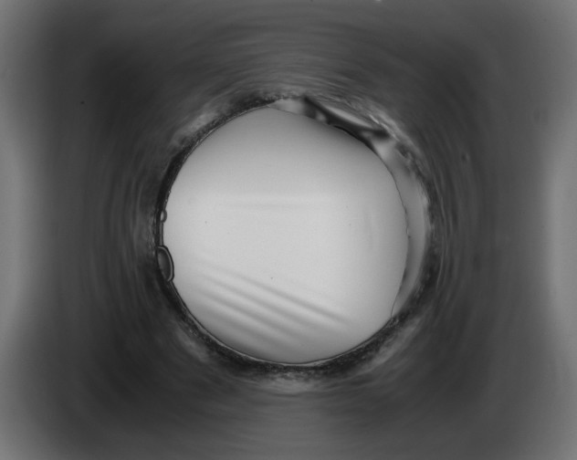 X0000083560489200703021723