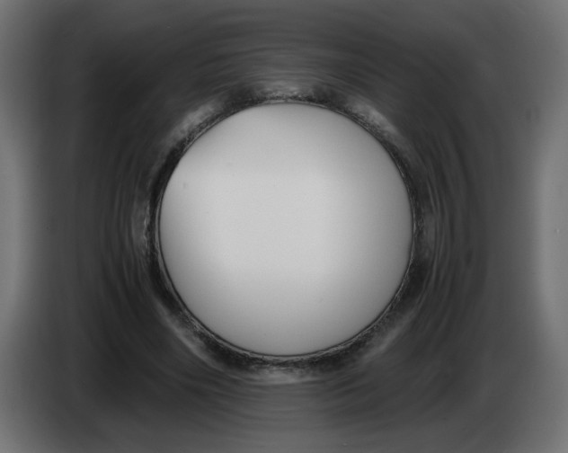 X0000083560490200703021723