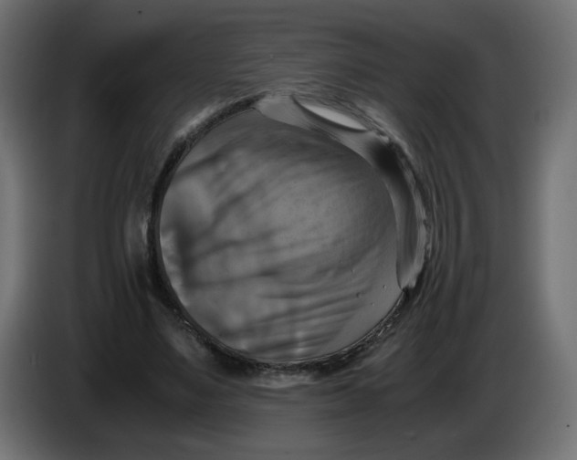 X0000083560491200703021723