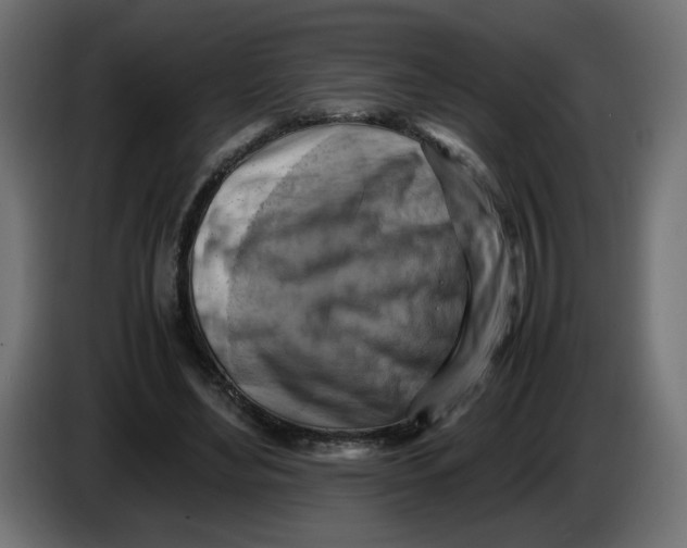 X0000083560492200703021723