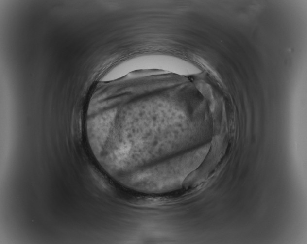 X0000083560493200703021723