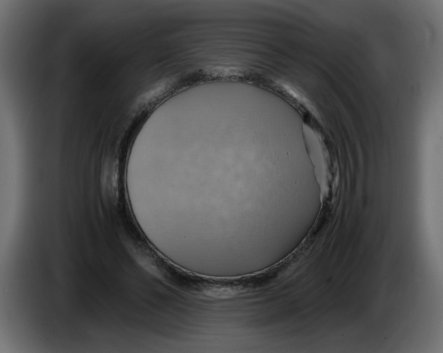 X0000083560494200703021723