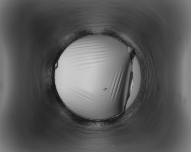 X0000083560497200703021722