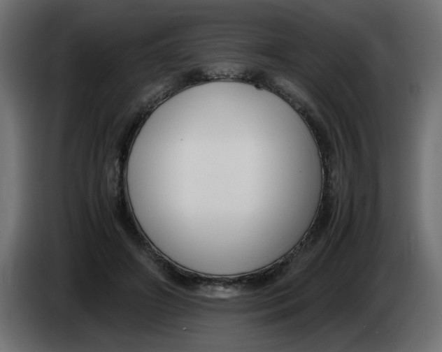 X0000083560498200703021722