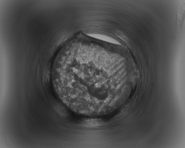 X0000083560499200703021722