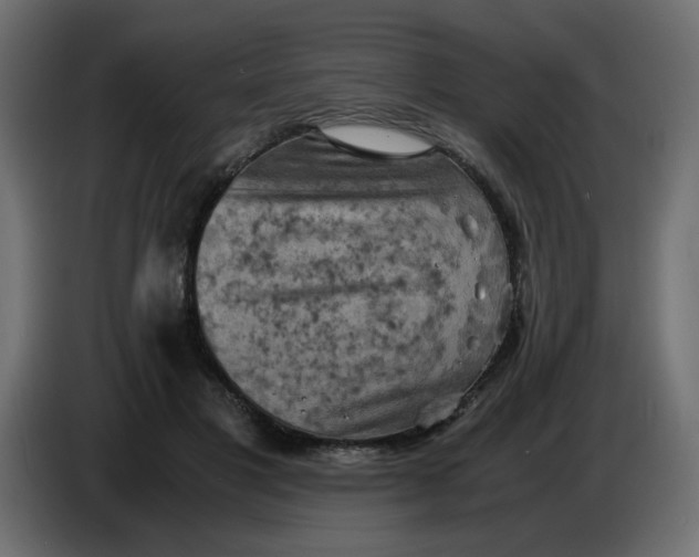 X0000083560501200703021722