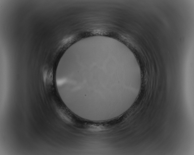 X0000083560502200703021722