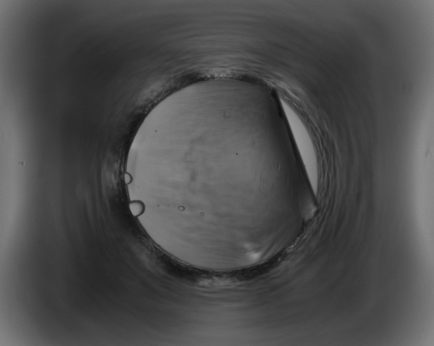 X0000083560503200703021722