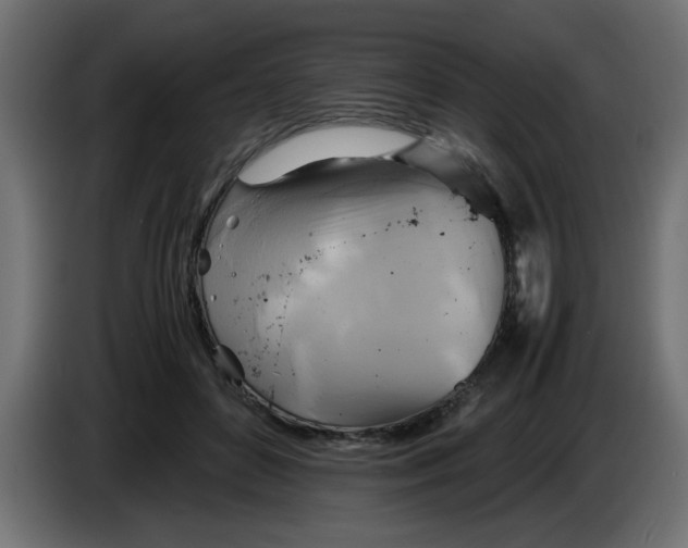 X0000083560504200703021722