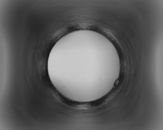 X0000083560505200703021722